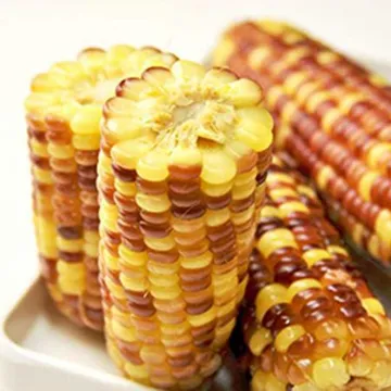 쪄서가는 냉동 홍찰옥수수 15개입 (특대)