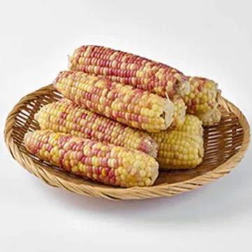 쪄서가는 냉동 홍찰옥수수 15개입 (왕특대)