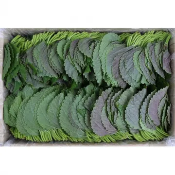 깻잎/찹찹/국내산 1kg 찹찹이깻잎