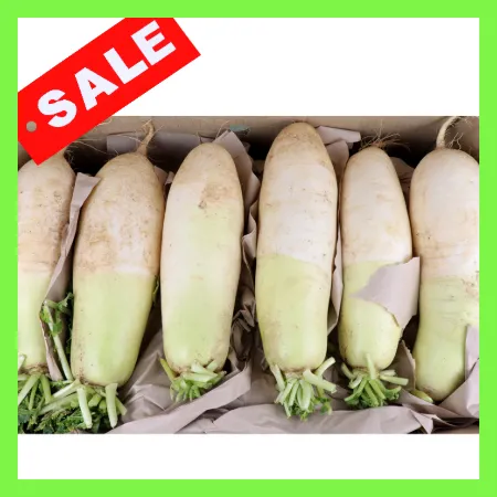 ★오늘특가★무우小/국내산 ±15kg(12-13수)