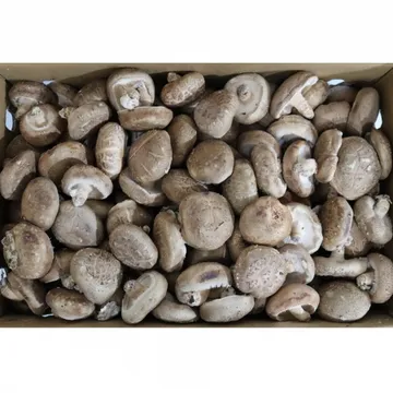 표고버섯/수입산 1kg