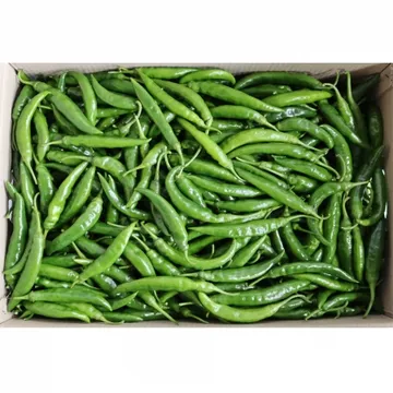 청양고추/상 국내산 10kg