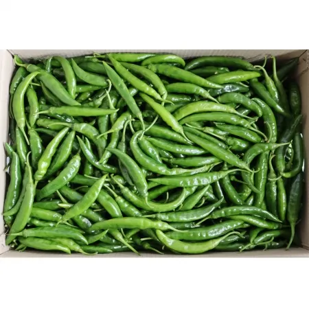 청양고추/상 국내산 10kg