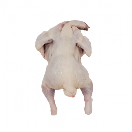 생닭 10호/국내산 1마리