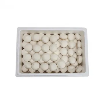 양송이2호/국내산 2kg