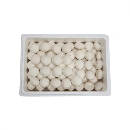 양송이2호/국내산 2kg