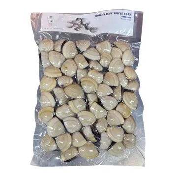 1kg 백합 60/80 (모시조개/냉동/베트남산)