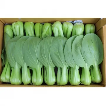 청경채/잘잘한것 국내산 4kg