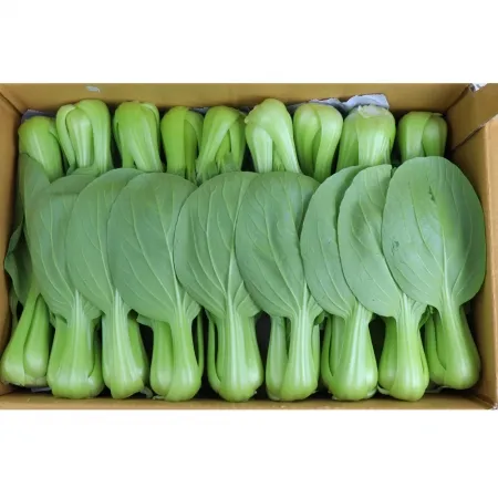 청경채/잘잘한것 국내산 4kg