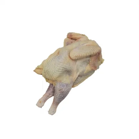 닭/노계大 국내산 1마리