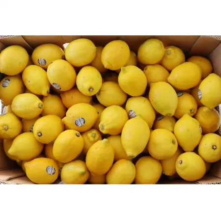 레몬 17kg