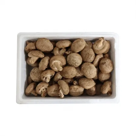 표고버섯2호/알大 국내산 1kg