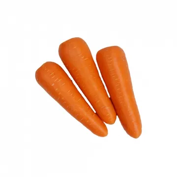 세척당근/중국산 1kg(2-3개)(2L) 수입산