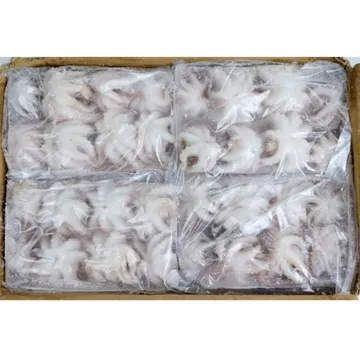 쭈꾸미(8미/베트남/180g*12팩) 2.16kg 박스 주꾸미