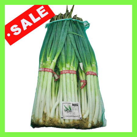 ★오늘특가★일반대파大/국내산 10단 흙대파