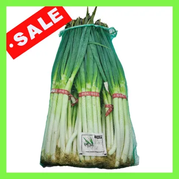 ★오늘특가★일반대파大/국내산 10단 흙대파