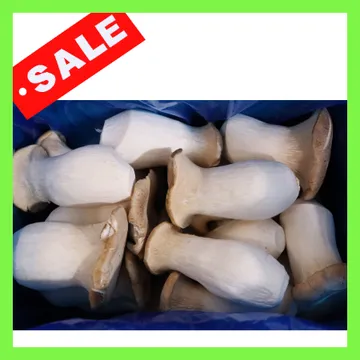 새송이버섯/특大/허니머쉬/국내산 2kg