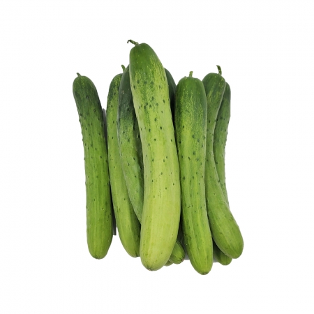 백오이/국내산 10개