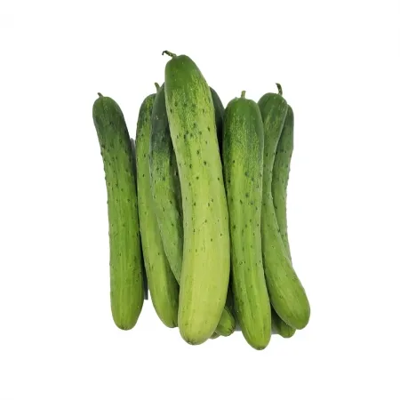 백오이/국내산 10개