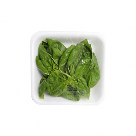 바질잎/생 국내산 10g