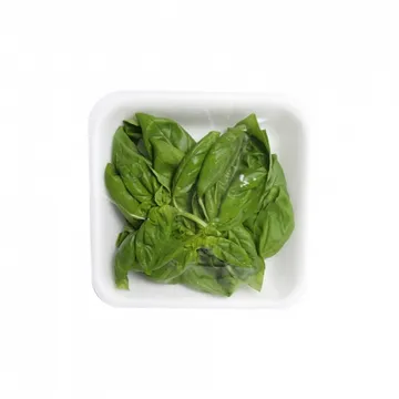 바질잎/생 국내산 10g