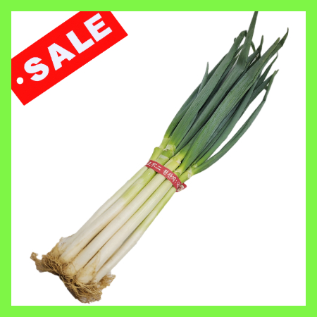 ★오늘특가★일반대파大/국내산 1단 흙대파