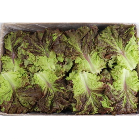 꽃상추(양반상추)국내산 4kg