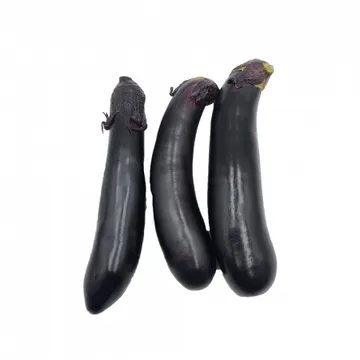 가지/국내산 3개