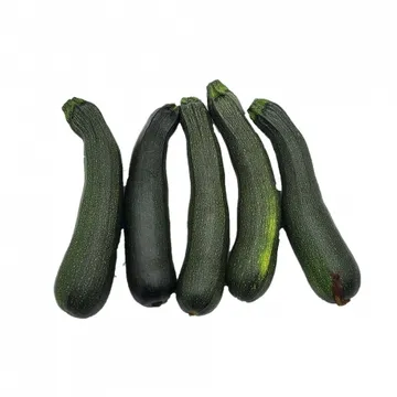 주키니호박/국내산 5개 쥬키니