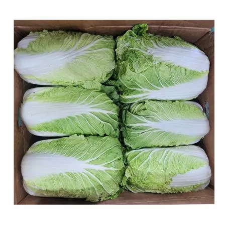 ★초특가★ 손질 배추 수입 15kg (6입) 중국산 손질배추 통배추 생배추