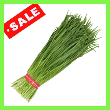 부추/국내산 1단