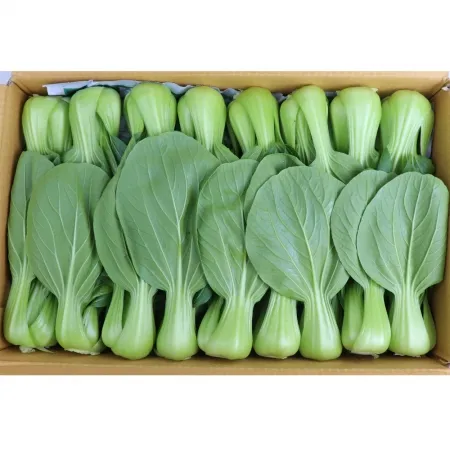 청경채/국내산 4kg