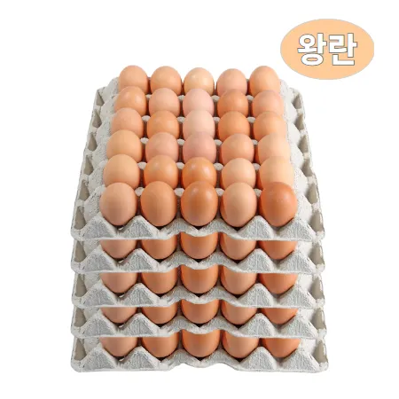 ★계란 초특가★ 계란/왕란 30알 국내산 