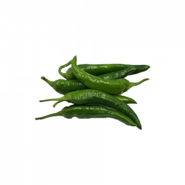 아삭이고추 상 국내산 1kg 오이고추
