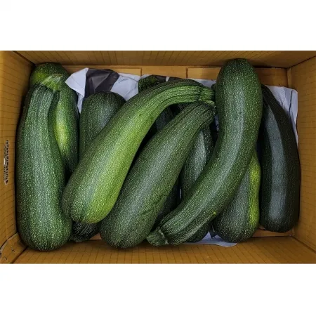 주키니호박/상 국내산 20개 쥬키니