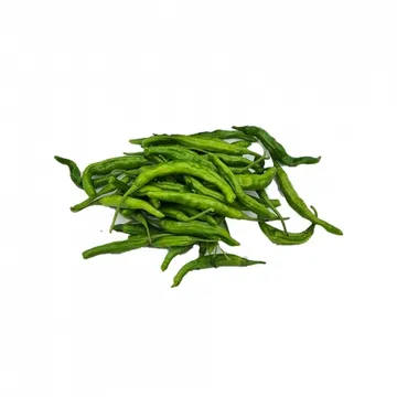 꽈리고추/상/국내산 500g