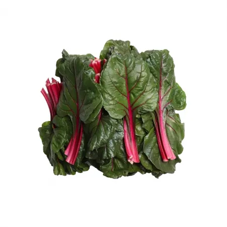 적근대/국내산 500g