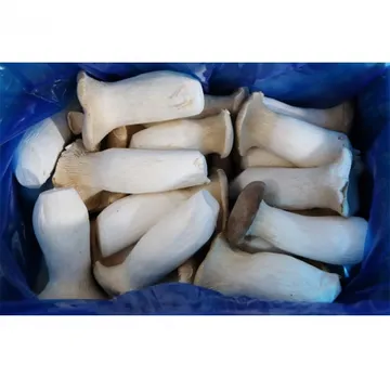 새송이버섯 특2번/허니머쉬/국내산 2kg