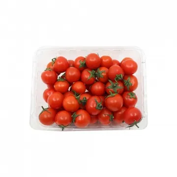 방울토마토 3호/알작은것 500g