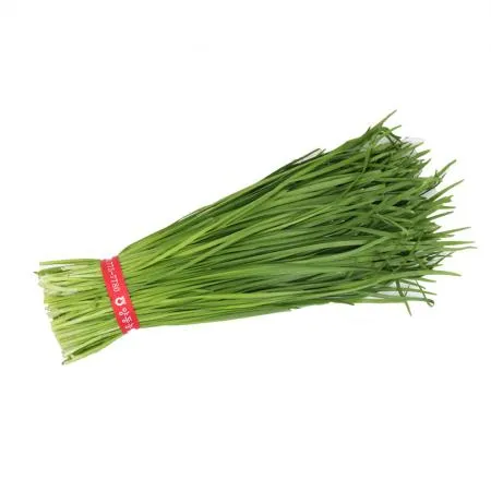 부추/국내산 1단 (500g 내외)