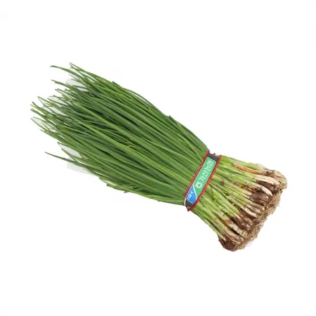 흙쪽파/국내산 1단(작은단/500g 내외)