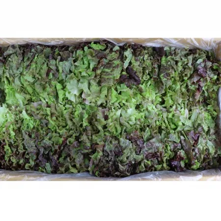 적상추 (특/국내산) 4kg