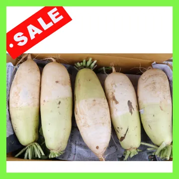 무우大/국내산 18kg(9~10수)