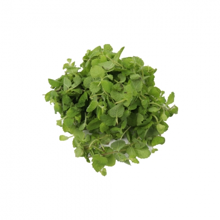애플민트 50g