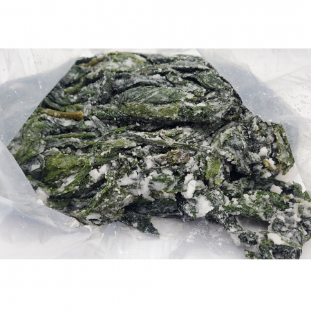 염장 곰피/국내산 1kg