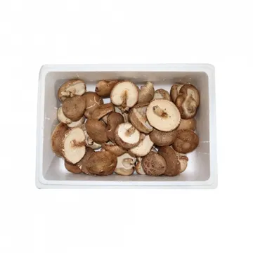 표고버섯3호 국내산 500g