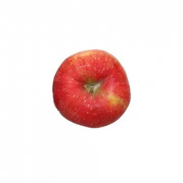사과大/국내산 1개