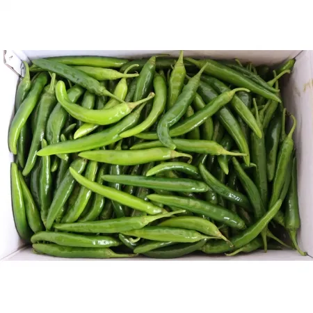 아삭이고추 상 벌크 10kg 오이고추 이미지