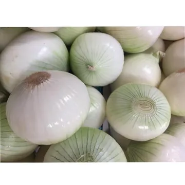 ★초특가★ 깐양파 수입 10kg 깐 양파 중국산