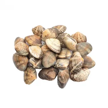 바지락/수입산1.1kg